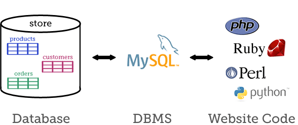 MySQL Database Management